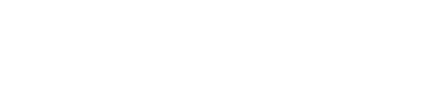 Servizi 